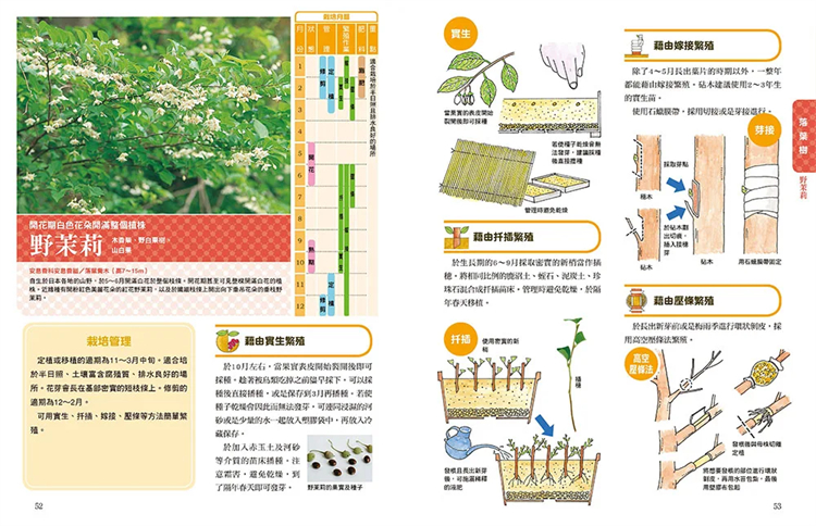 预售 简单上手的植物繁殖法 扦插嫁接压条：超人气142种成功率高的树木、观叶植物、草花的繁殖方法 21 高柳良夫 三悦 进口原版 - 图3