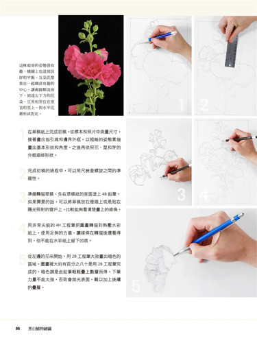 现货 植物艺术绘画的50堂课—美国最具权威的ASBA协会画师教你画 21  麦浩斯 进口原版 特别的技法及构图 水彩渲染 植物艺术绘画 - 图2