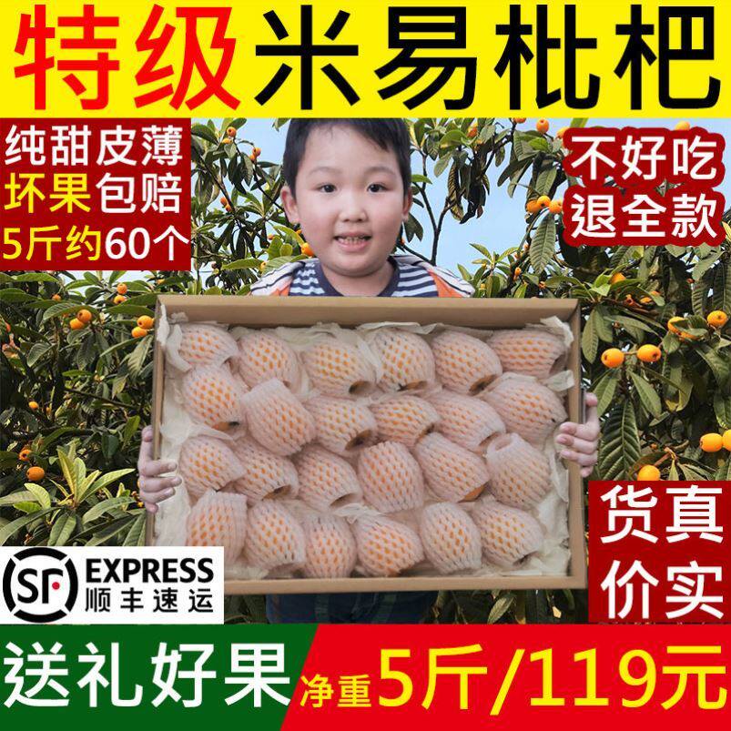 特级攀枝花米易枇杷新鲜大果四川早钟甜琵琶水果当季5斤顺丰包邮
