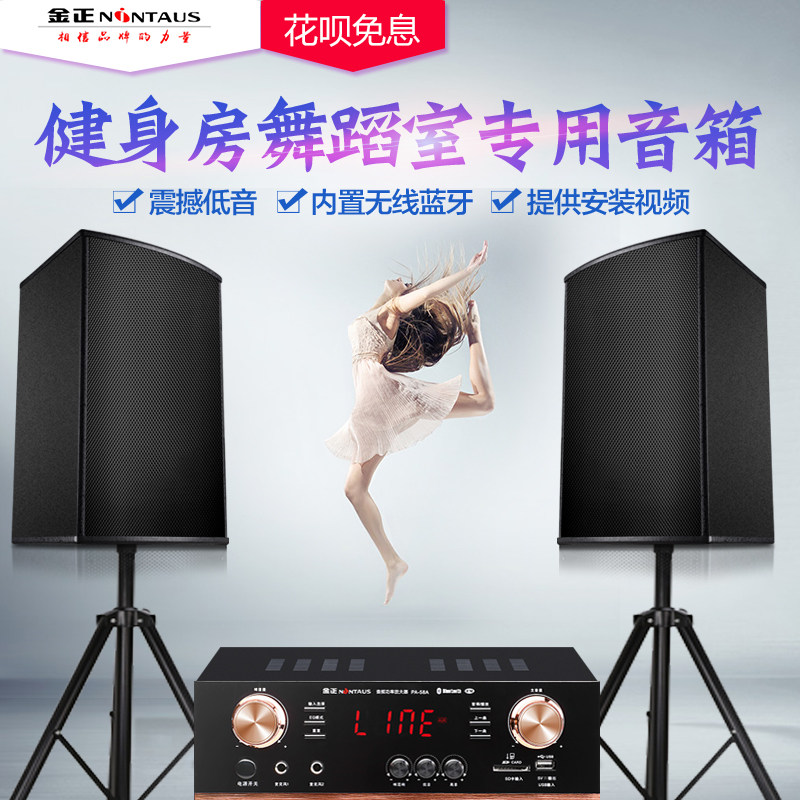 金正v8舞蹈室音响专用家庭壁挂音箱 华睿影音KTV/卡拉OK音箱