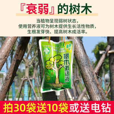 大树营养液肥料移栽生根剂吊针液移植强力生根液树木营养液吊针液 虎窝淘