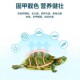 Inch golden turtle food turtle food turtle food turtle food