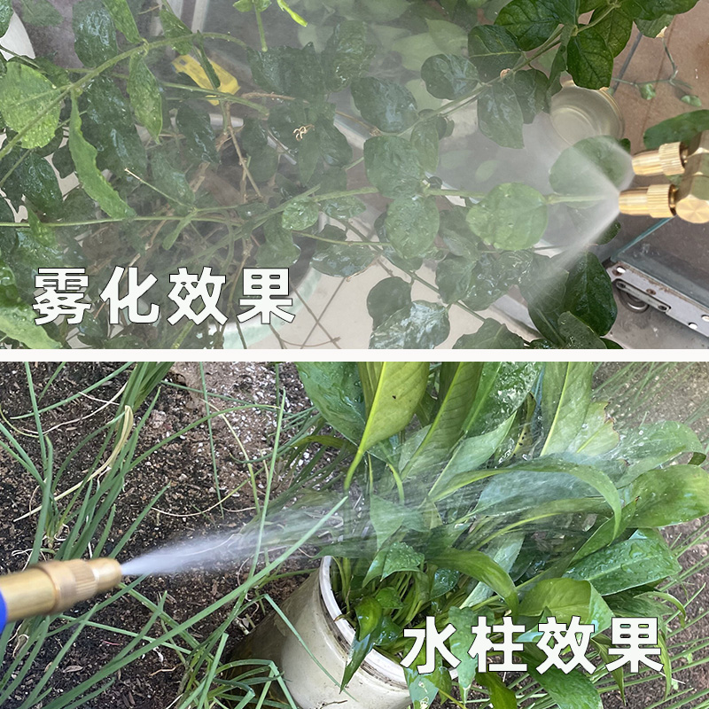 饮料瓶通用喷头家用可乐瓶往复式喷雾器浇花浇菜洒水枪抽拉喷水头 - 图0