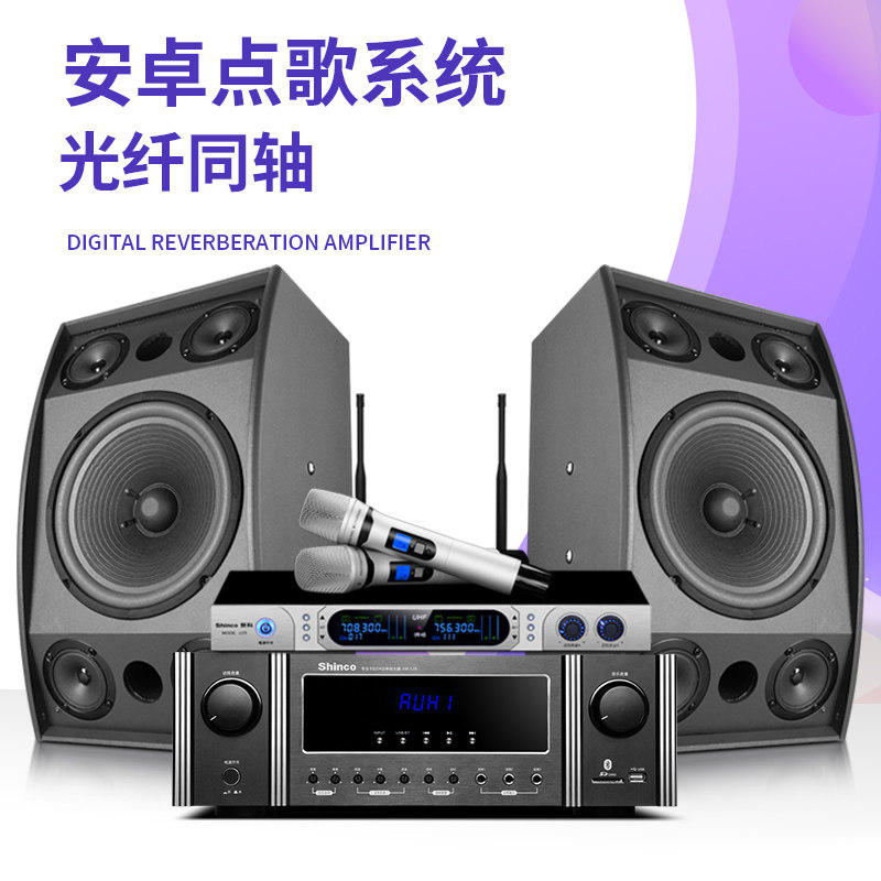 shinco /新科bn25 ktv音响套装 新科宇乐创KTV/卡拉OK音箱