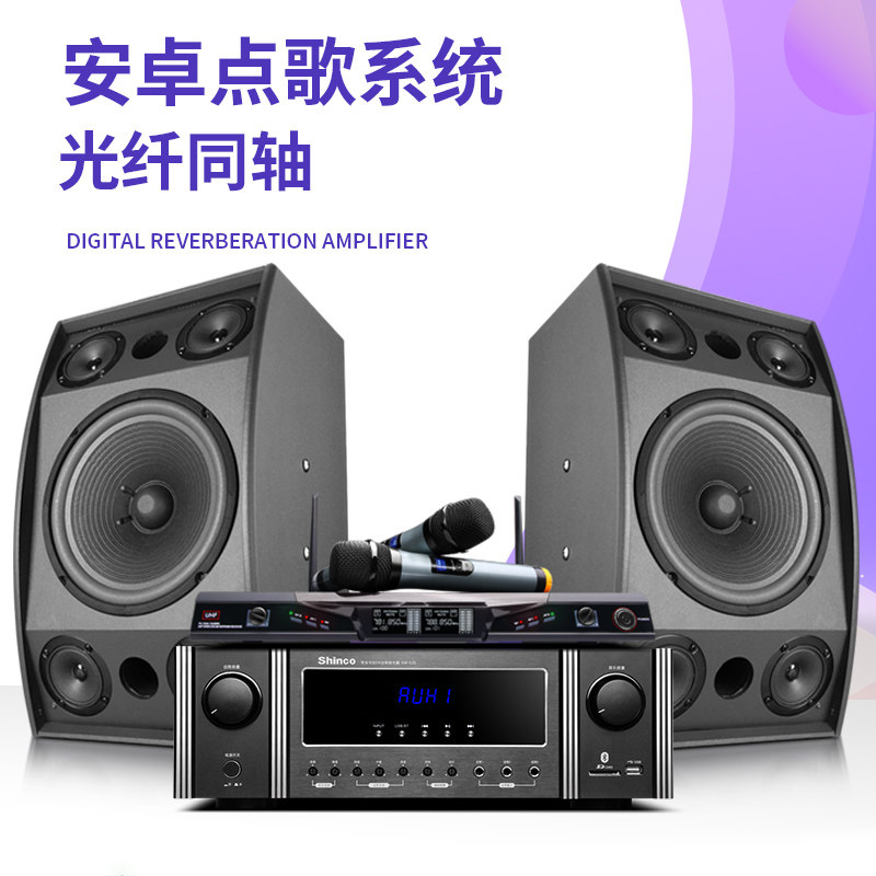 shinco /新科bn25 ktv音响套装 新科宇乐创KTV/卡拉OK音箱