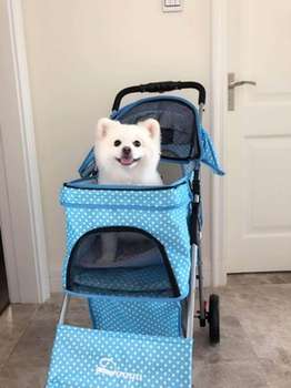 Four-wheel pet stroller outdoor travel portable car folding luxury dog ​​stroller Bichon Teddy cat supplies