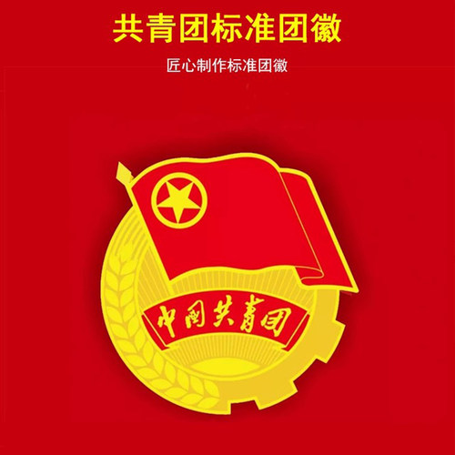 新语文化 团徽正版共青团中国共青团团徽新款标准型学生用磁吸磁铁款青年团磁扣胸针款共青团员徽章 团宝汇 - 图3
