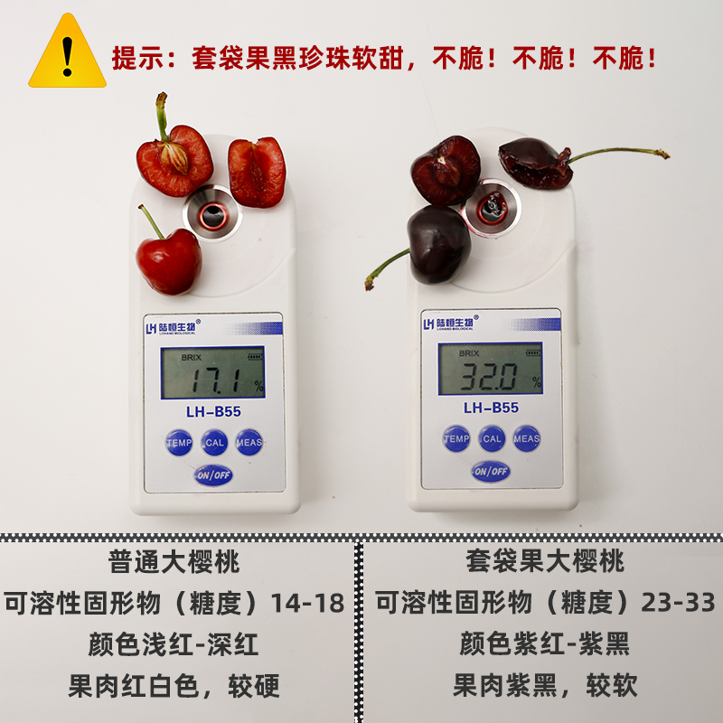 上上鲜旗舰店上上鲜 汉源黑珍珠大樱桃四川高山套袋甜车厘子新鲜水果当季包邮2