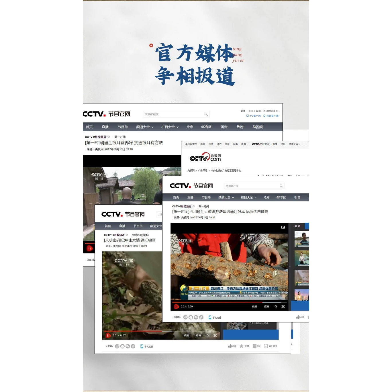 四川特产通江银耳花碎干货无硫椴木白木耳雪耳糯耳孕妇儿童旗舰店