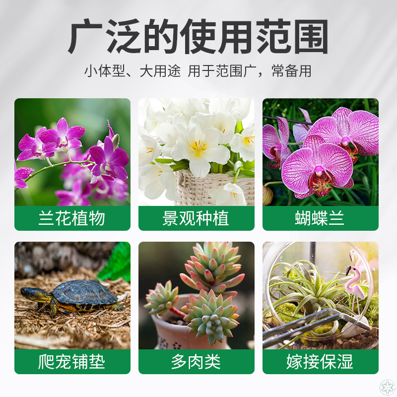 进口干苔藓智利水苔食虫植物植料育苗铺面 热品库 性价比省钱购