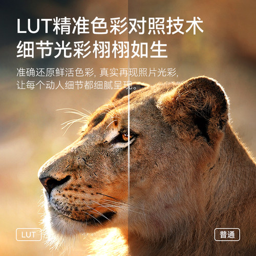 【政府补贴】爱普生L8188 18058 11058 照片打印机A3+复印扫描6色无线自动双面彩色喷墨仓式相馆影楼工作室 - 图2