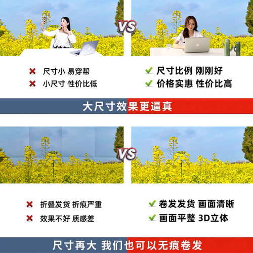 农村油菜花春日春天风景黄色网红拍照区男女主播抖音快手直播背景布3d立体壁纸画草地直播间场景布置高级感 - 图3