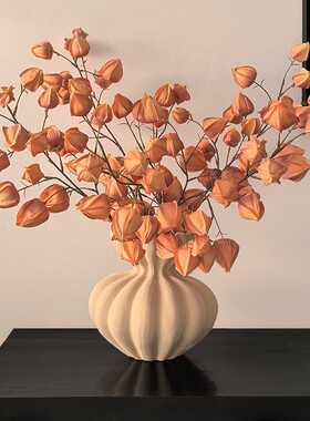 LIVETAI中古风仿真大果灯笼花干花新年喜庆乔迁入户客厅装饰摆件
