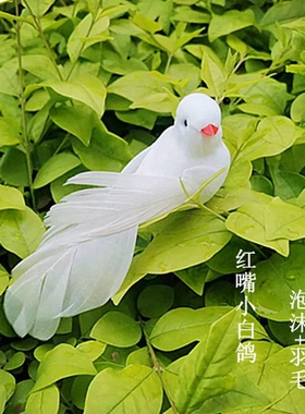 小白鸟羽毛鸟摆件桌面装饰仿真白色小鸟鸟窝文艺复古拍照道具