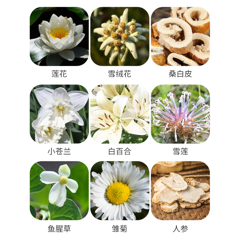 cloud9 /九朵云淡斑修复补水保湿霜 wandao海外乳液/面霜