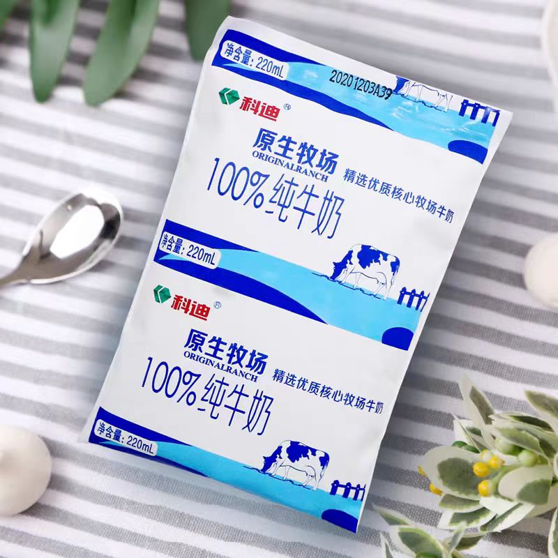 科迪原生牧场科迪纯牛奶220ml袋装营养早餐奶网红牛奶整箱装