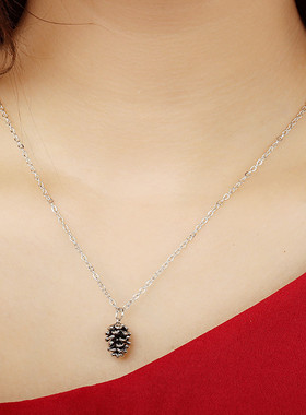 欧美跨境简约时尚松子植物标本项