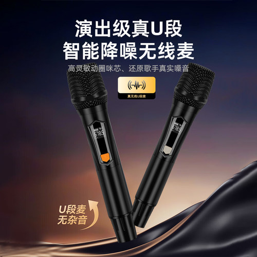 欧美声H6/H8专业户外音响K歌唱歌大功率背带便携式蓝牙广场舞音箱 - 图2
