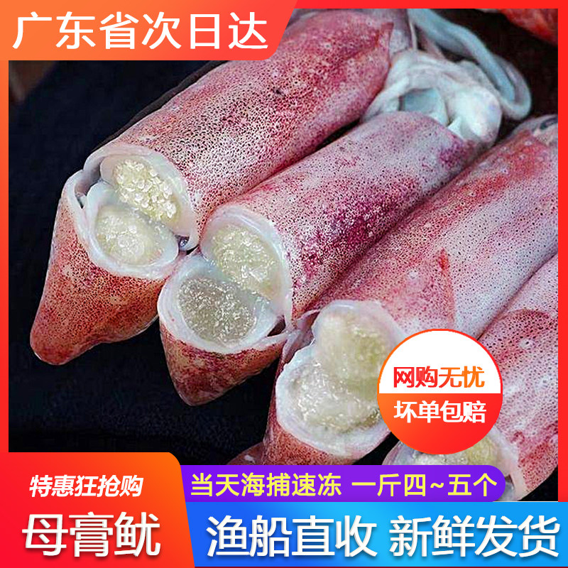 带籽海兔子母鱿鱼鲜活墨鱼仔海鲜水产冷冻一份400g装满籽笔管鱿鱼,淘宝优惠券,粉丝福利购,淘宝优惠卷