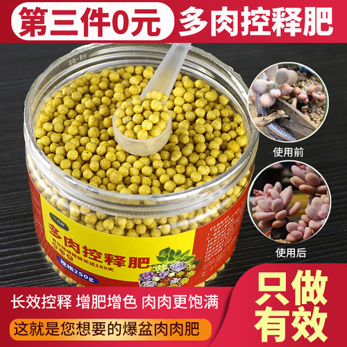 多肉控释肥多肉肥料专用肥植物营养颗粒缓释肥多肉营养液花肥 - 图2