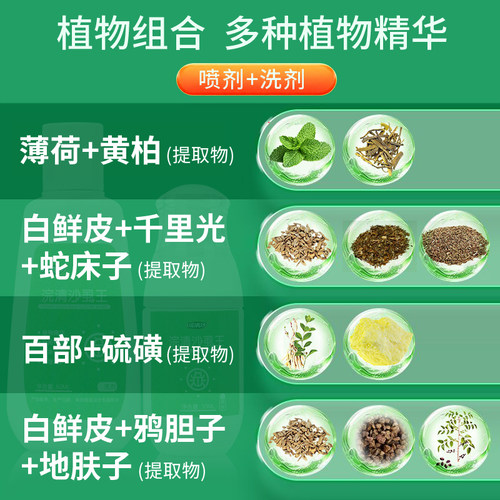 浣清沙虱王头虱虱子卵百部酊洁净清爽植物组合装送篦子浴帽 - 图2