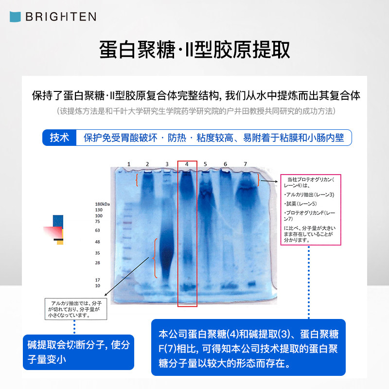 日本brighten【热玛吉】ii胶原蛋白 Brighten海外丽人海外膳补
