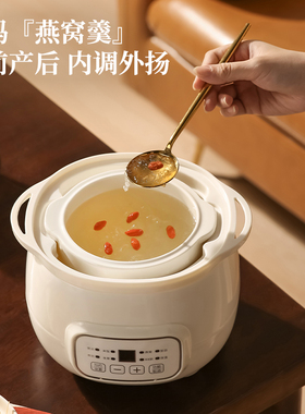 电炖盅隔水炖家用煲汤煮粥燕窝