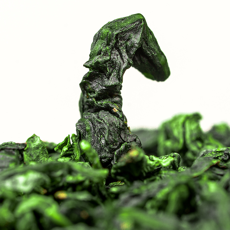  桐木清莲铁观音