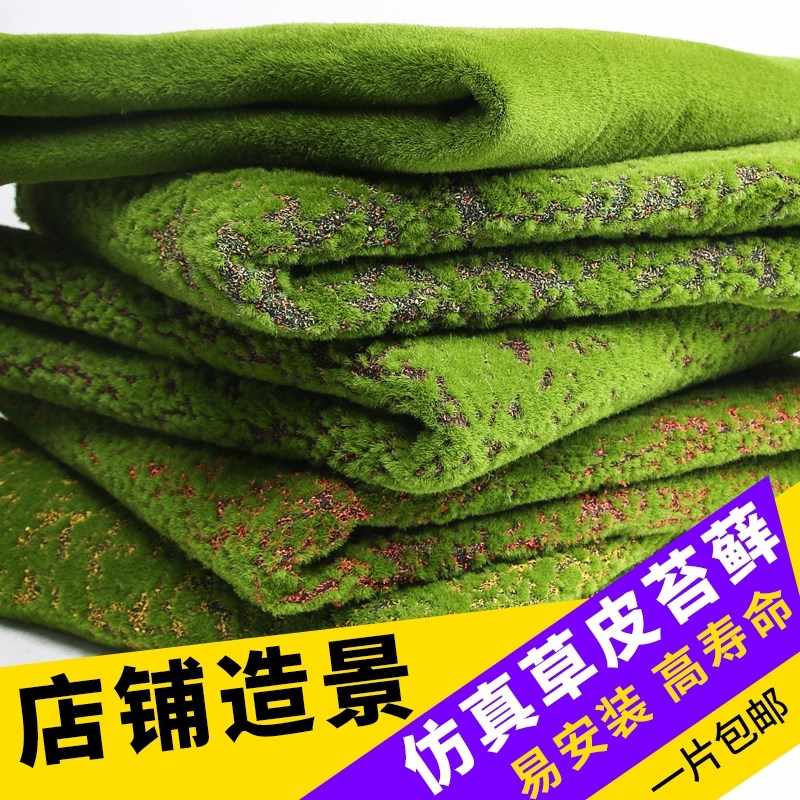 鲜苔植物 新人首单立减十元 21年7月 淘宝海外