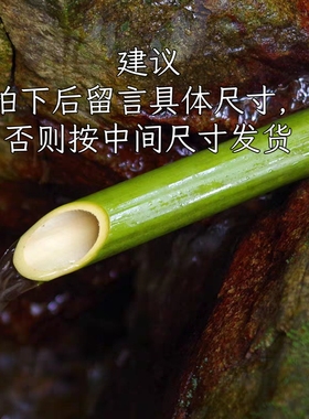 空心竹筒斜切庭院流水装饰插花引水管道天然竹管空心竹筒流水嘴