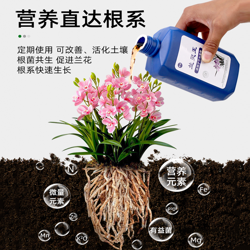 牧狼人兰灵王兰花专用营养液肥料蝴蝶兰君子兰微生物菌剂防治黄叶,淘宝优惠券,粉丝福利购,淘宝优惠卷