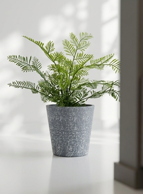 北欧简约仿真绿植盆栽摆件