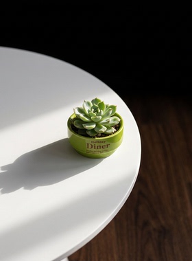 手工陶瓷绿植花盆桌面摆件