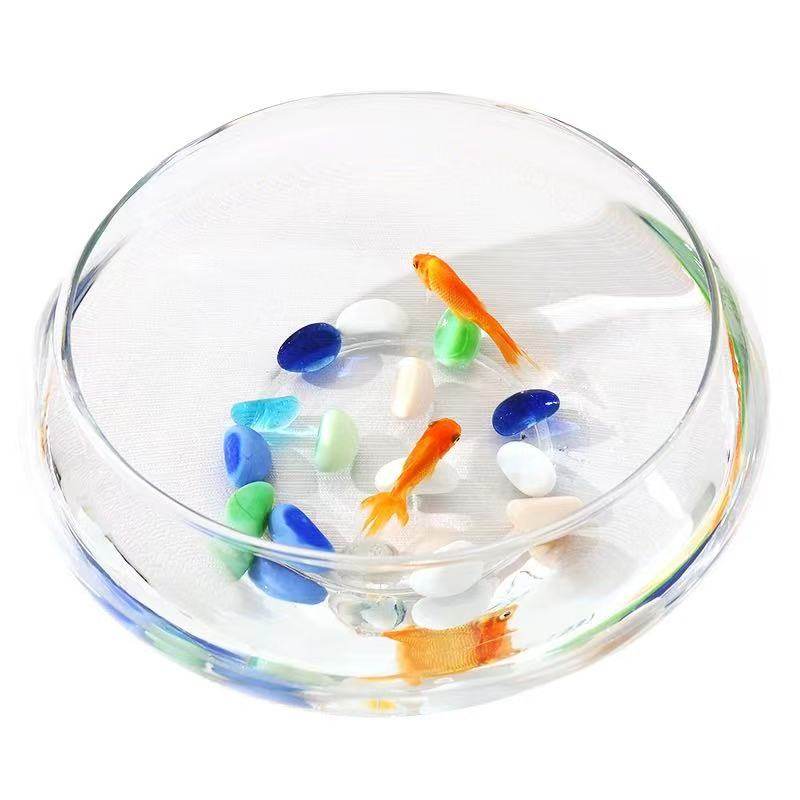 玻璃鱼缸圆形碗莲铜钱草水仙盆水培花卉绿植水培客厅桌面阳台摆件,淘宝优惠券,粉丝福利购,淘宝优惠卷