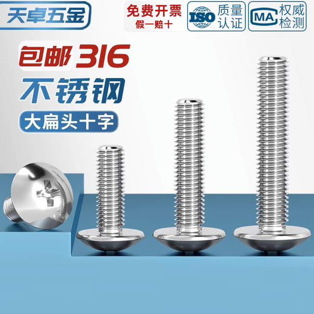 316 large flat head Phillips screw