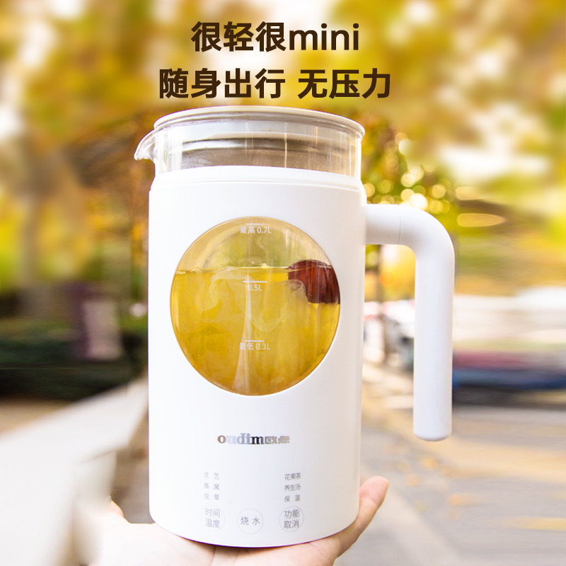 欧点mini养生壶办公室多功能小型养生杯煮茶器迷你便携烧水壶花茶