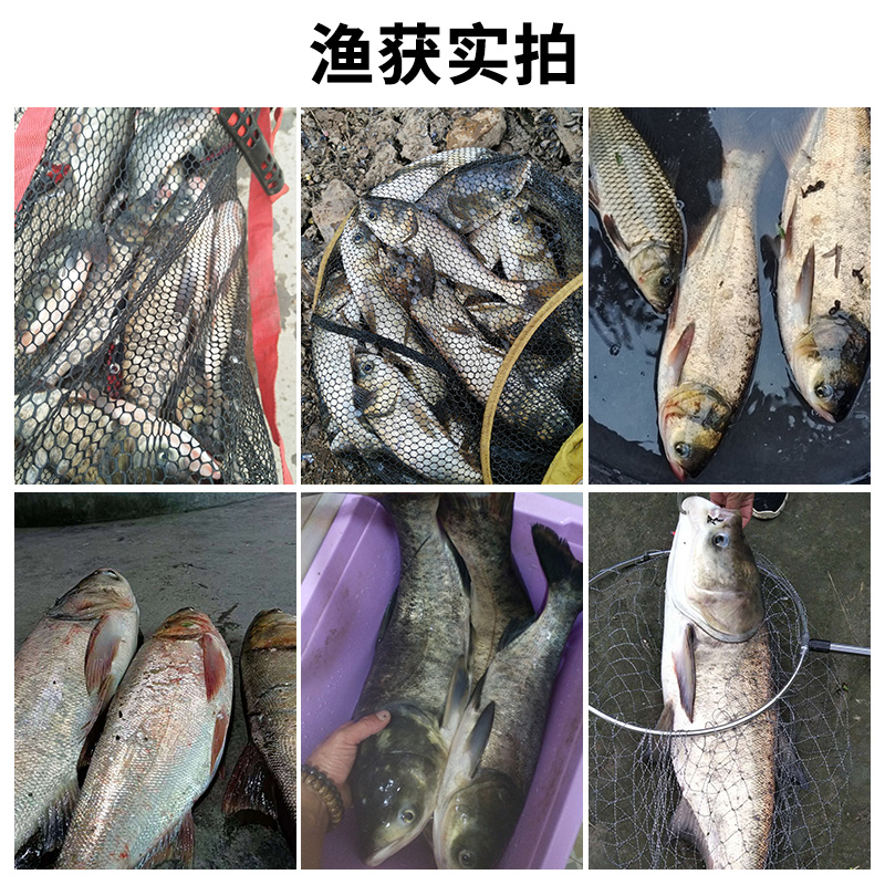 酸臭鲢鳙饵料鱼饵伴侣浮钓鲢鱼大头鱼专用小药助吸饵添加剂诱鱼剂 - 图3