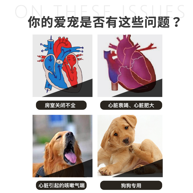 日本共立匹莫苯丹狗狗心脏肥大心衰咳嗽喘二尖瓣返流脱勃欣定呼吸 - 图0