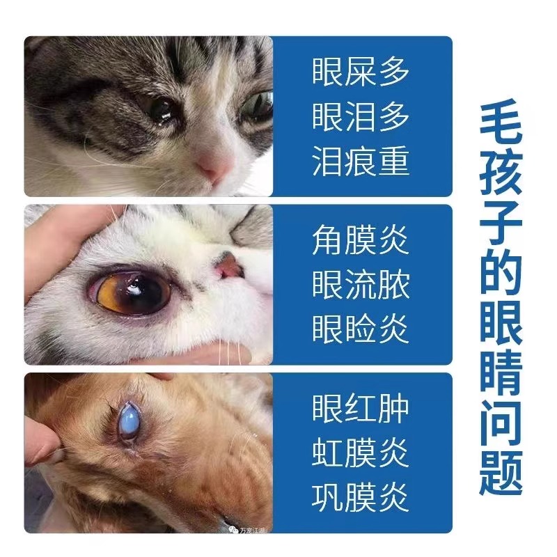 美国辉瑞眼膏宠物猫咪狗狗结膜炎眼药水红肿发炎眼药膏 - 图1