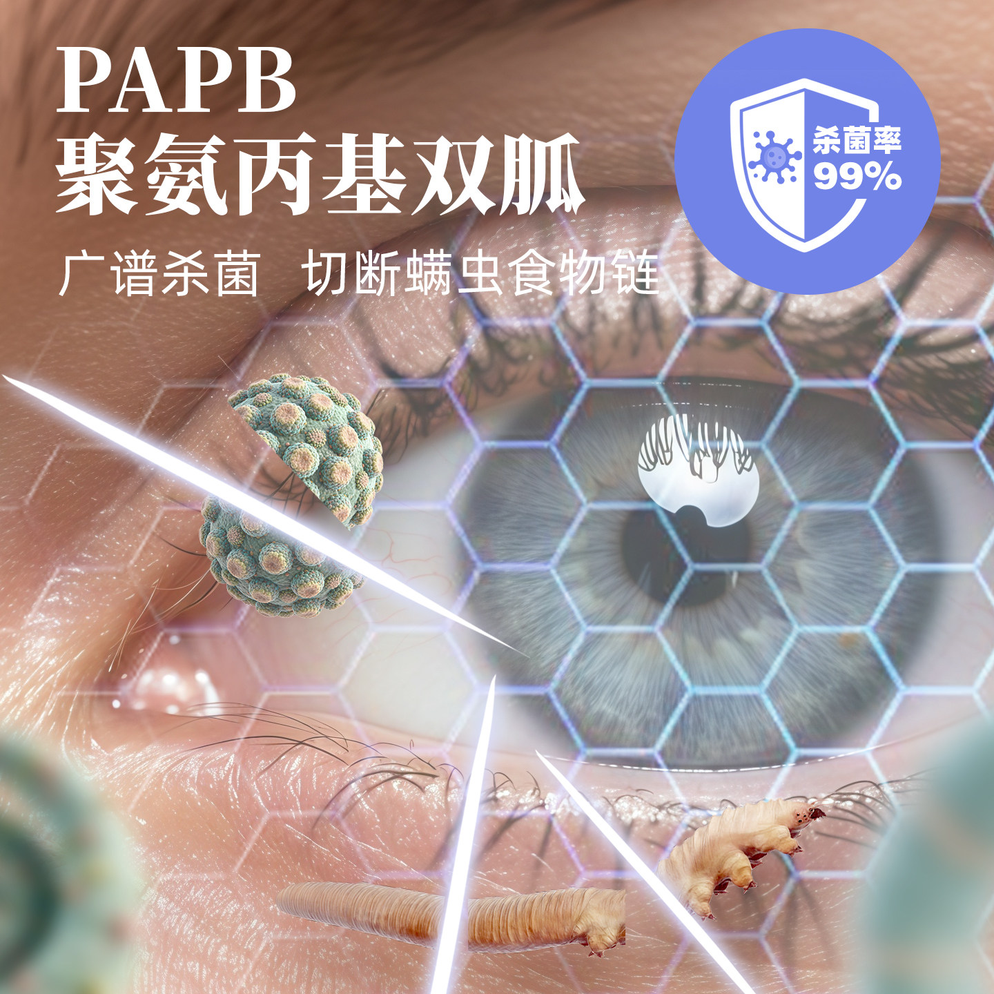 【除螨2盒】OCuSOFT缘螨净茶树油除螨湿巾 眼部清洁温和免洗,淘宝优惠券,粉丝福利购,淘宝优惠卷