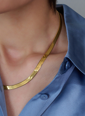 意大利欧美蛇骨链轻奢小众项链