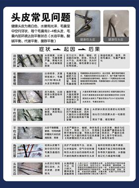 定制海报素材印刷头皮毛囊分析对比图海报展板头皮理疗常见头皮