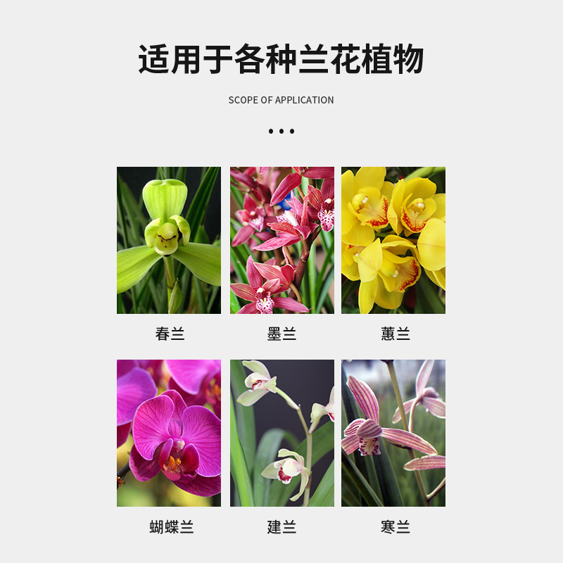 君德兰灵王兰花专用肥料君子兰蝴蝶兰石斛兰草建兰墨兰有机营养液