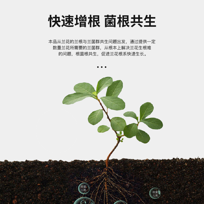 君德兰灵王兰花专用肥料君子兰蝴蝶兰石斛兰草建兰墨兰有机营养液