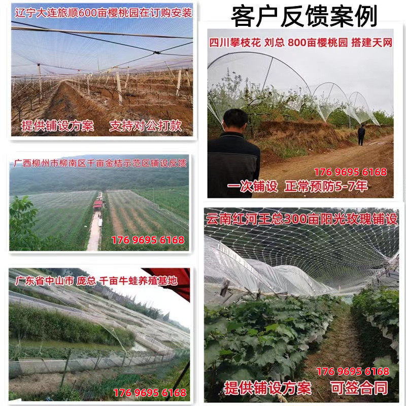 防鸟网果树防鸟用网葡萄樱桃果园菜地尼龙线纱网丝网大棚鱼塘天网,淘宝优惠券,粉丝福利购,淘宝优惠卷