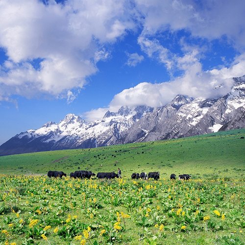 丽江玉龙雪山纯玩一日游小团大索道门票云南旅游蓝月谷专车接送-图2