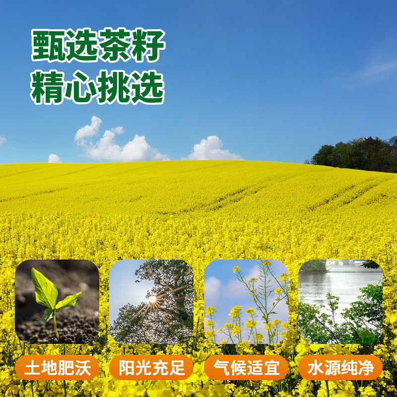 浓香农家菜籽油自榨小榨原香炒菜食用油4升油菜籽油非转基因压榨