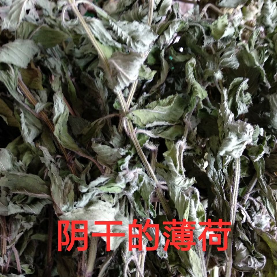 薄荷中药材野薄荷升阳菜见肿消水益母接骨草土薄荷鱼香草香薷草 - 图2