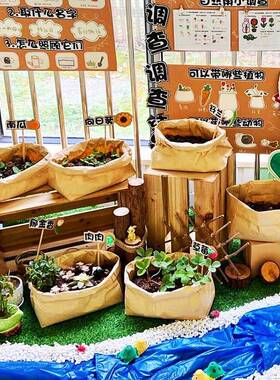 幼儿园春天自然区域植物角环创种植主题收纳牛皮纸袋装饰布置材料