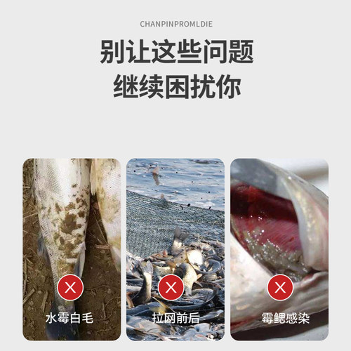 硫醚沙星水产养殖鱼塘烂身烂尾水霉白毛腐皮水霉净真菌红克 - 图2